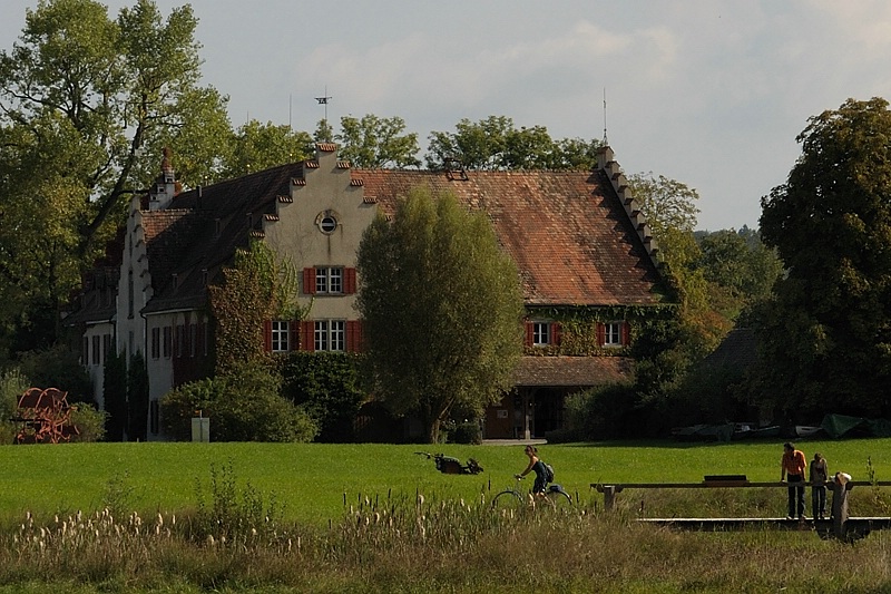 DSC 0045 nff