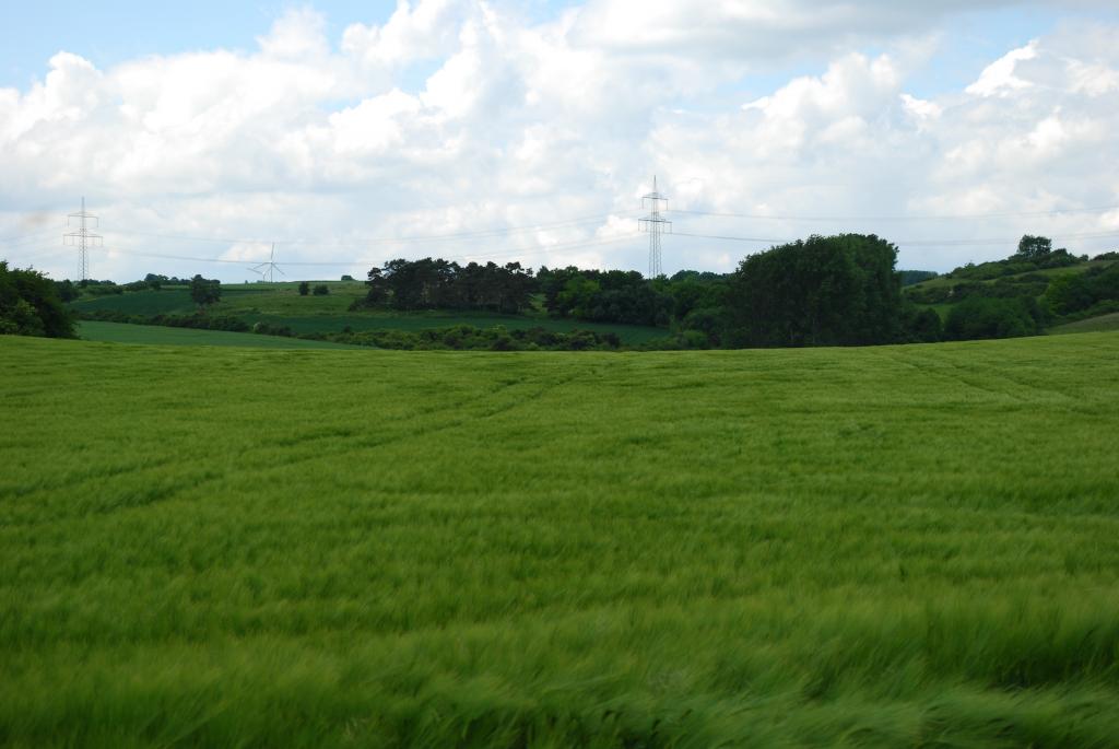 DSC 0050