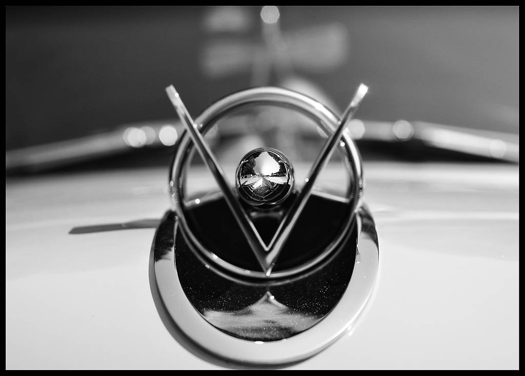 DSC 0054a1