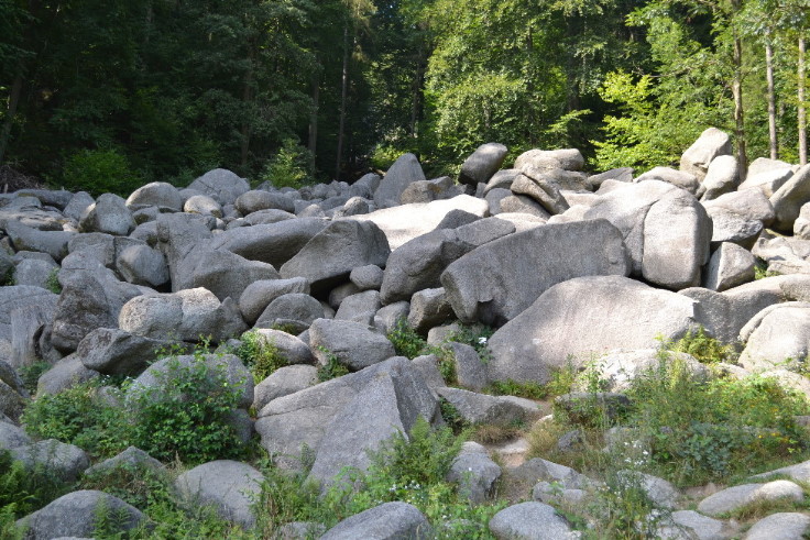 DSC 0055