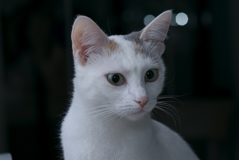 DSC 0056