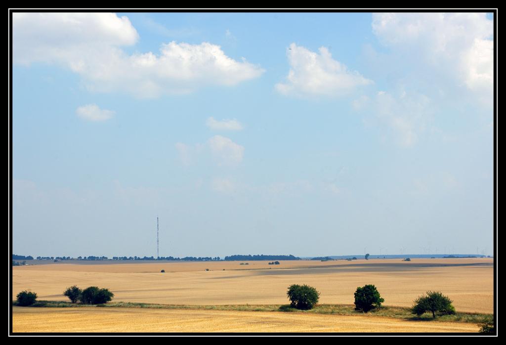 DSC 0058