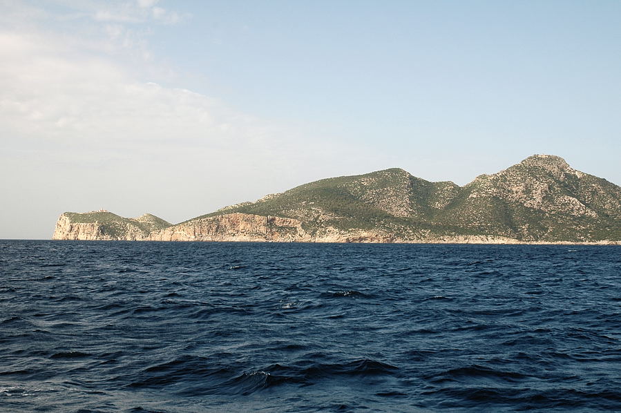 DSC 0065
