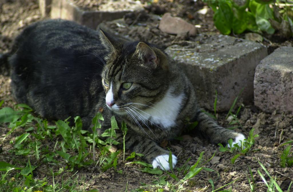 DSC 0073