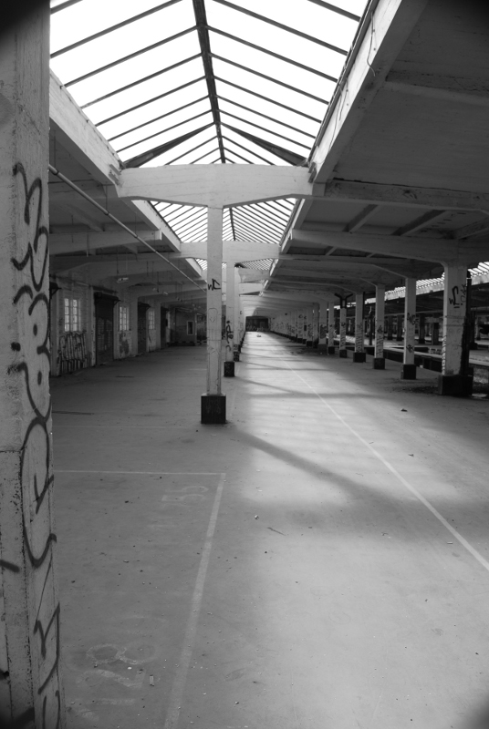DSC 0077