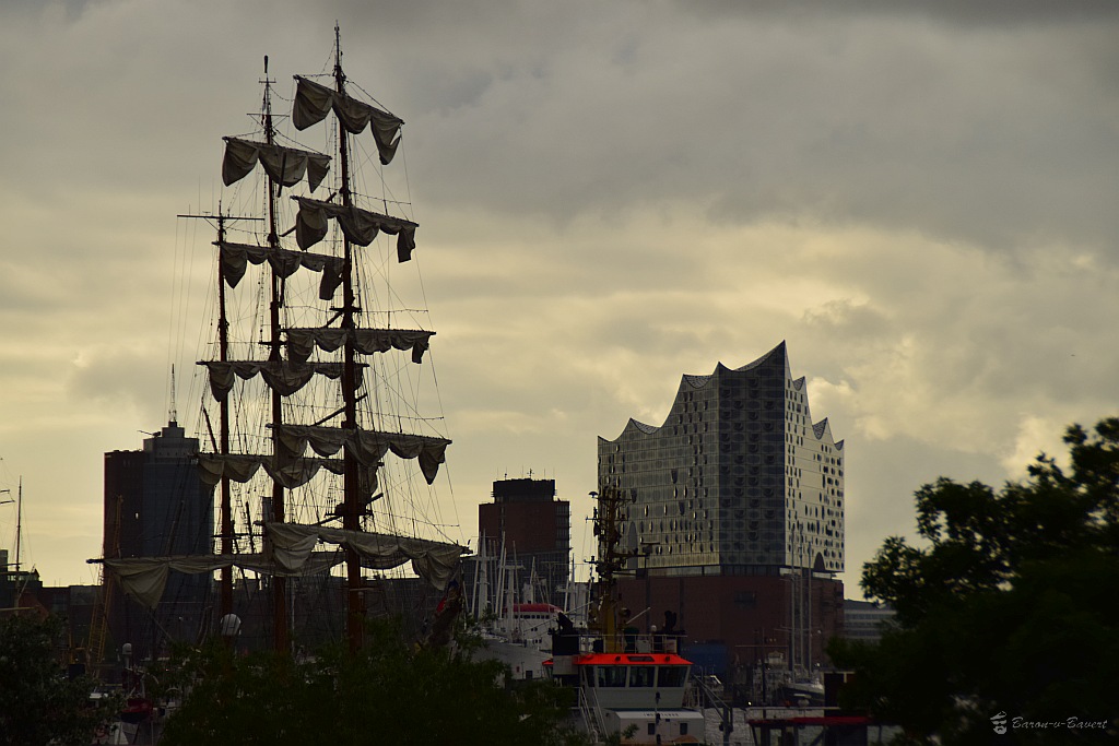 DSC 0082 62016