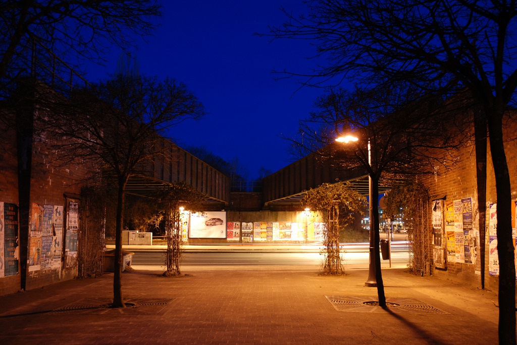 DSC 0083