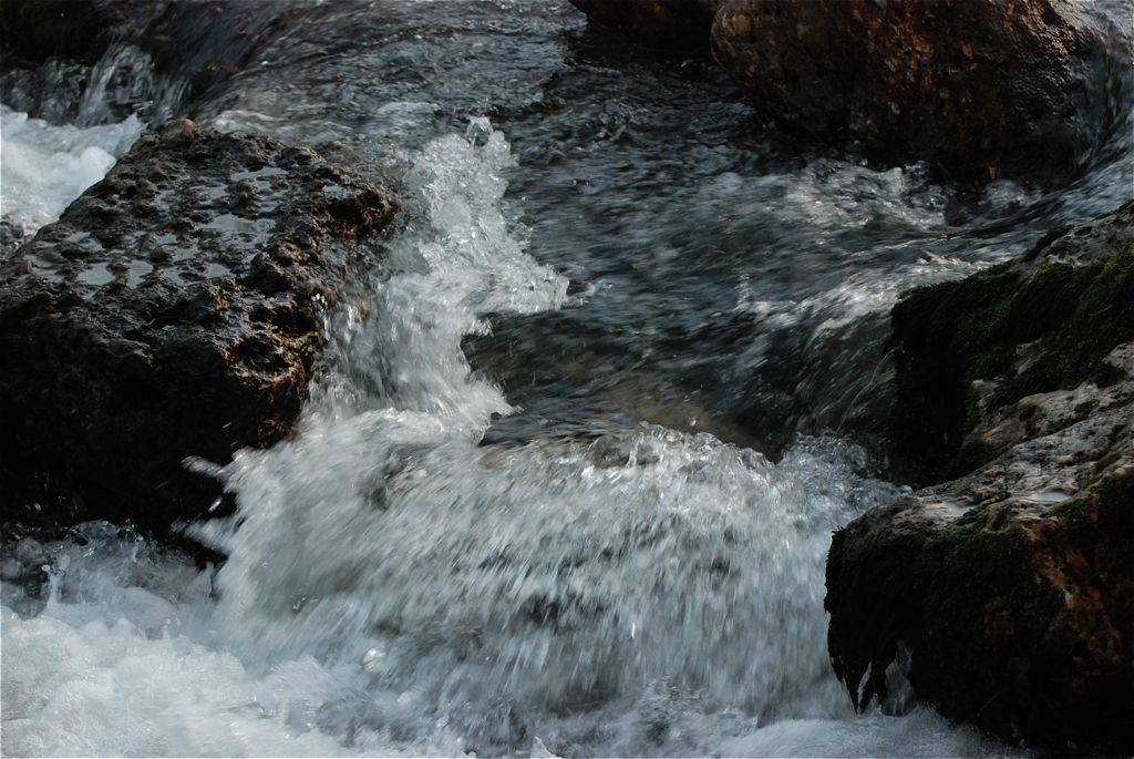 DSC 0098