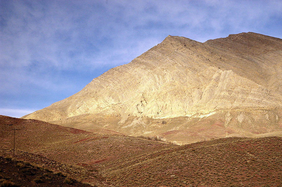 DSC 0107