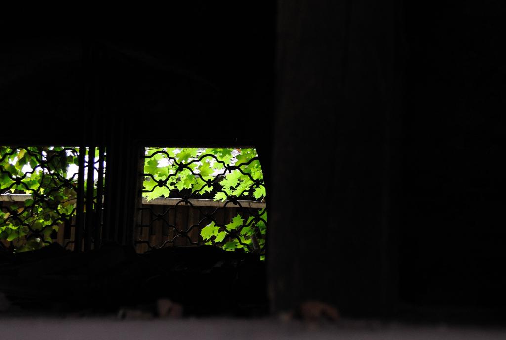 DSC 0110