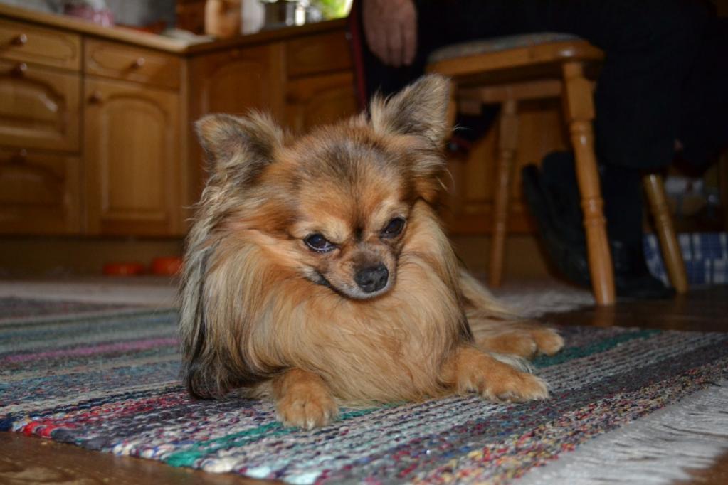 DSC 0155ed