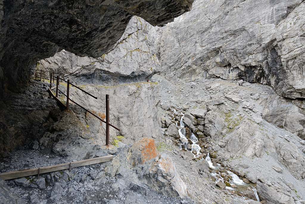 DSC 0161