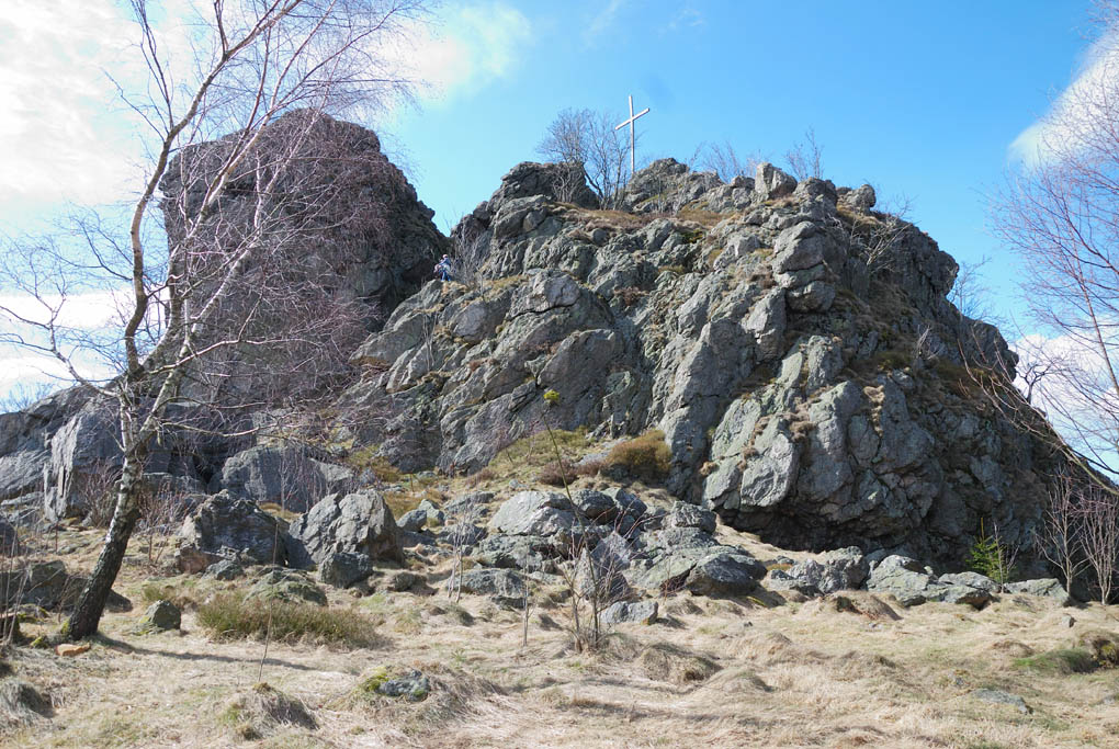 DSC 0170