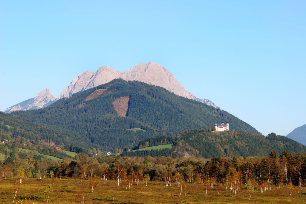 DSC 0176