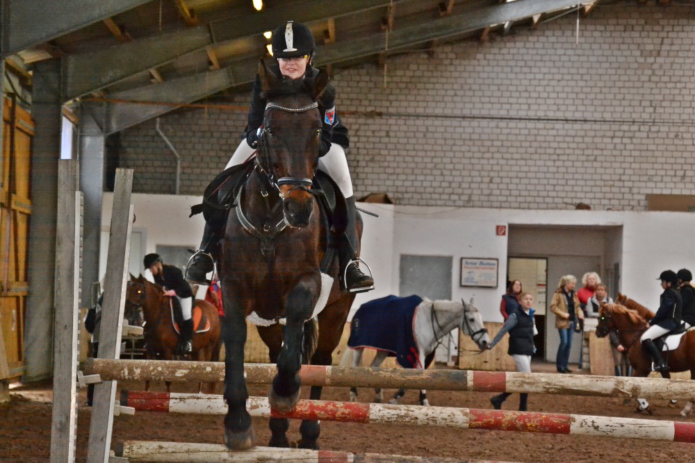 DSC 0181nf