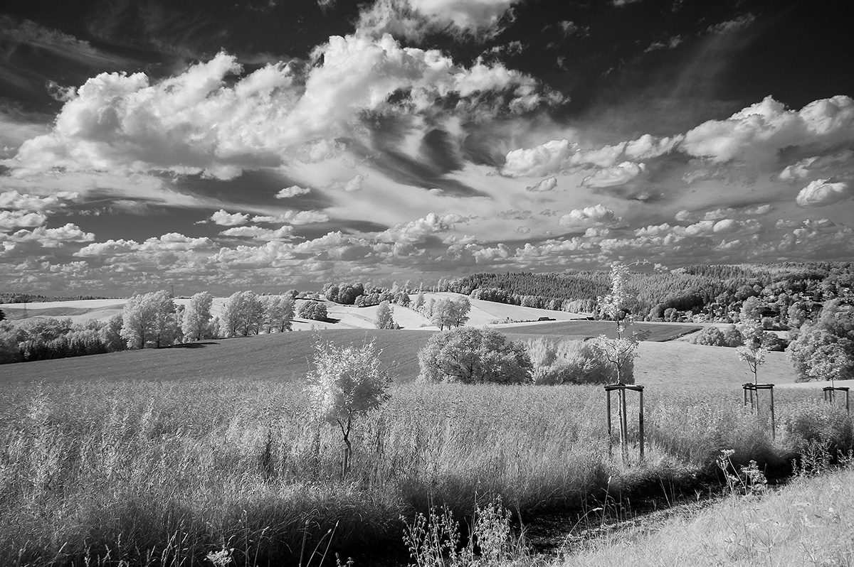 DSC 0192sw