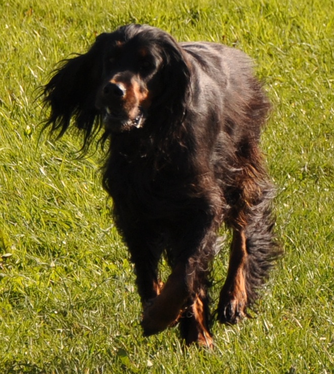 DSC 0195 crop