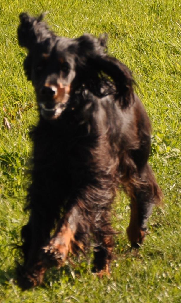 DSC 0196 crop