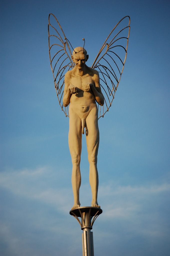 DSC 01991