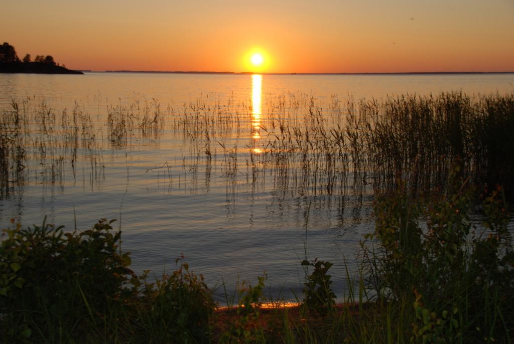 DSC 020