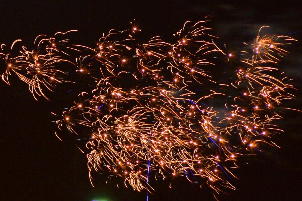 DSC 0202 b