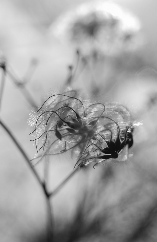 DSC 0204