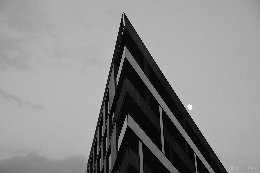 DSC 0204sw