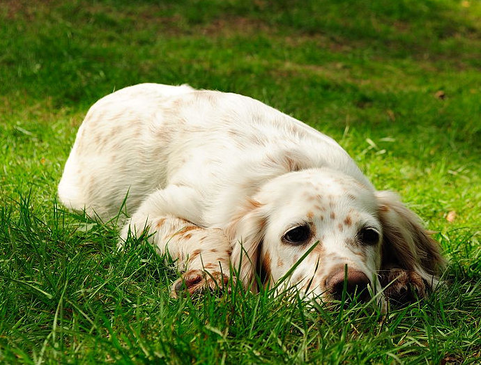 DSC 0233 00131beschnitten