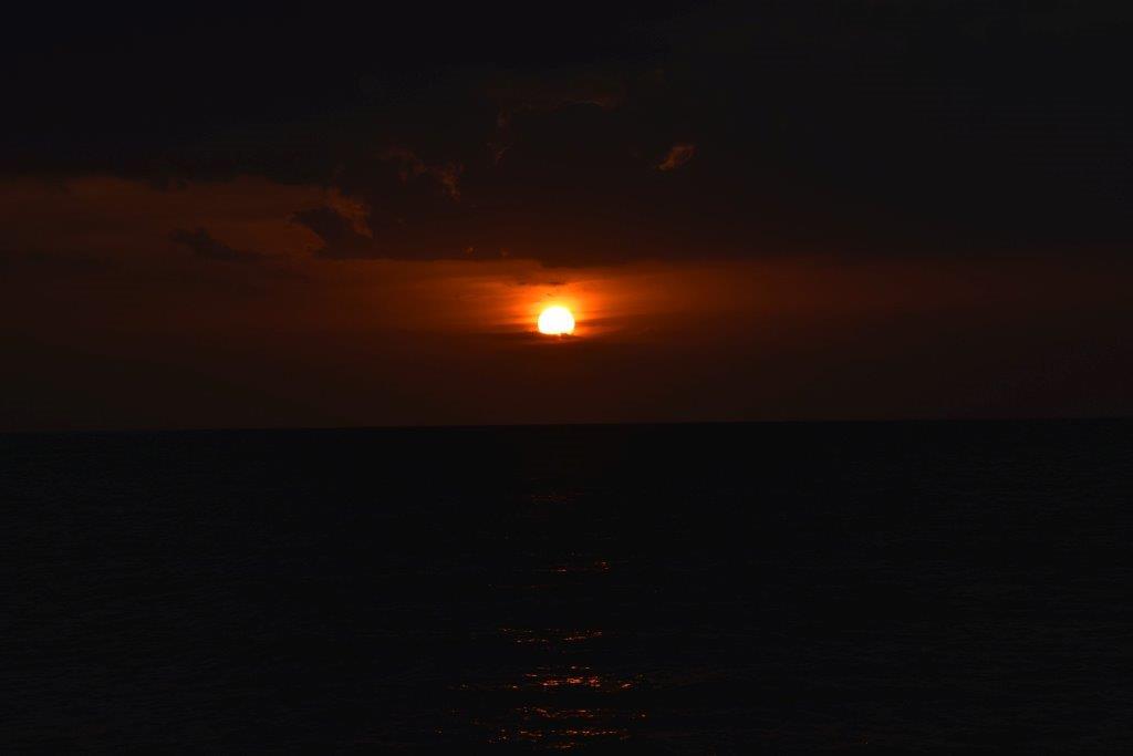 DSC 0240