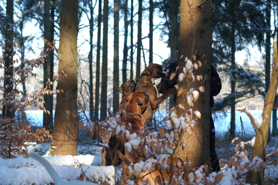 DSC 0260 900x598