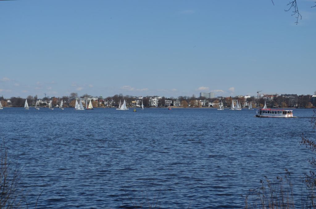 DSC 0269 01