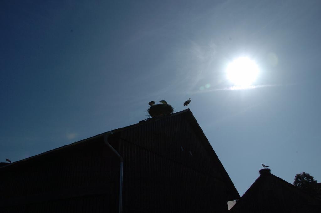 DSC 0303
