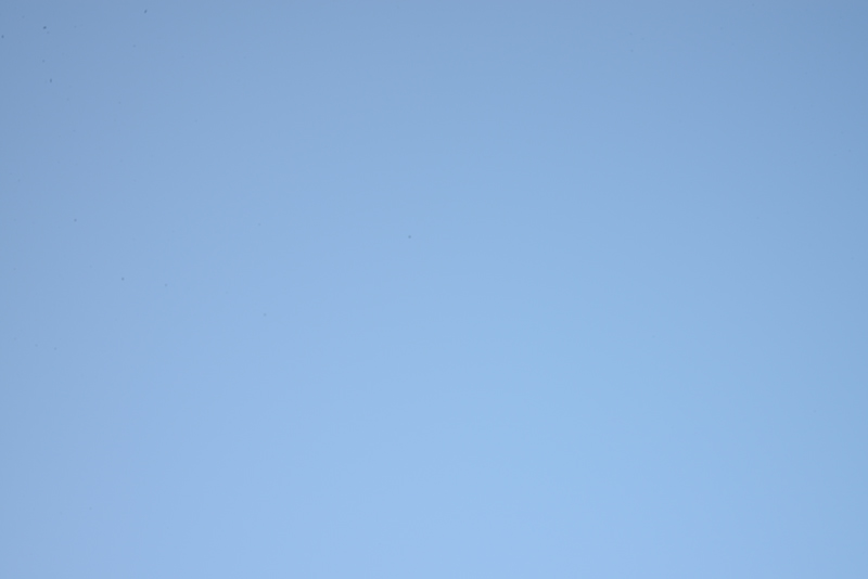 DSC 0330