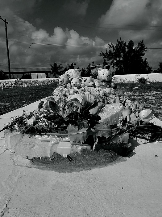 DSC 0346bw