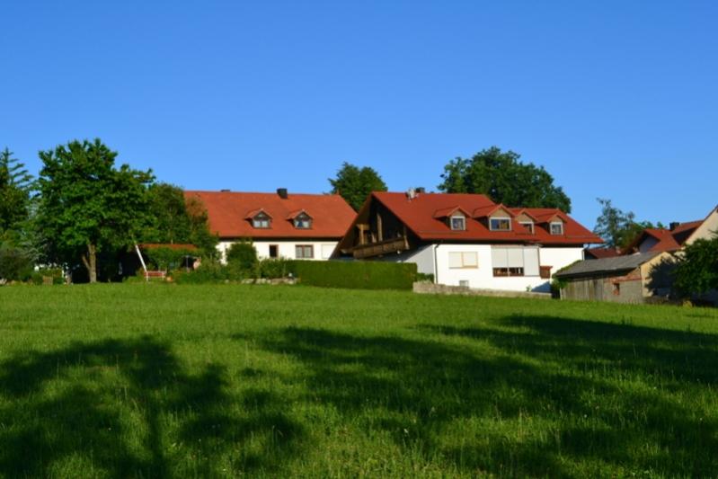 DSC 0372