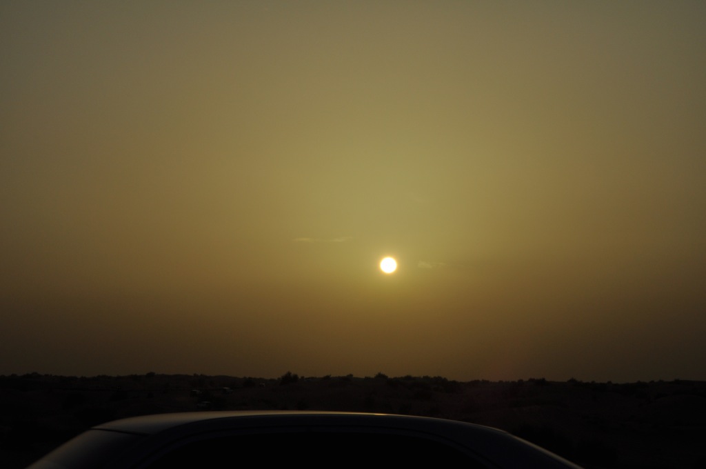 DSC 0380 1024