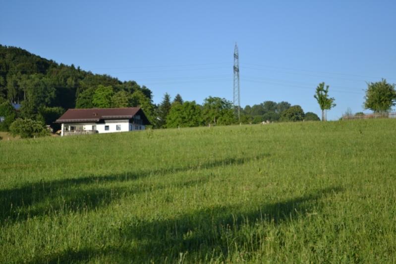 DSC 0394