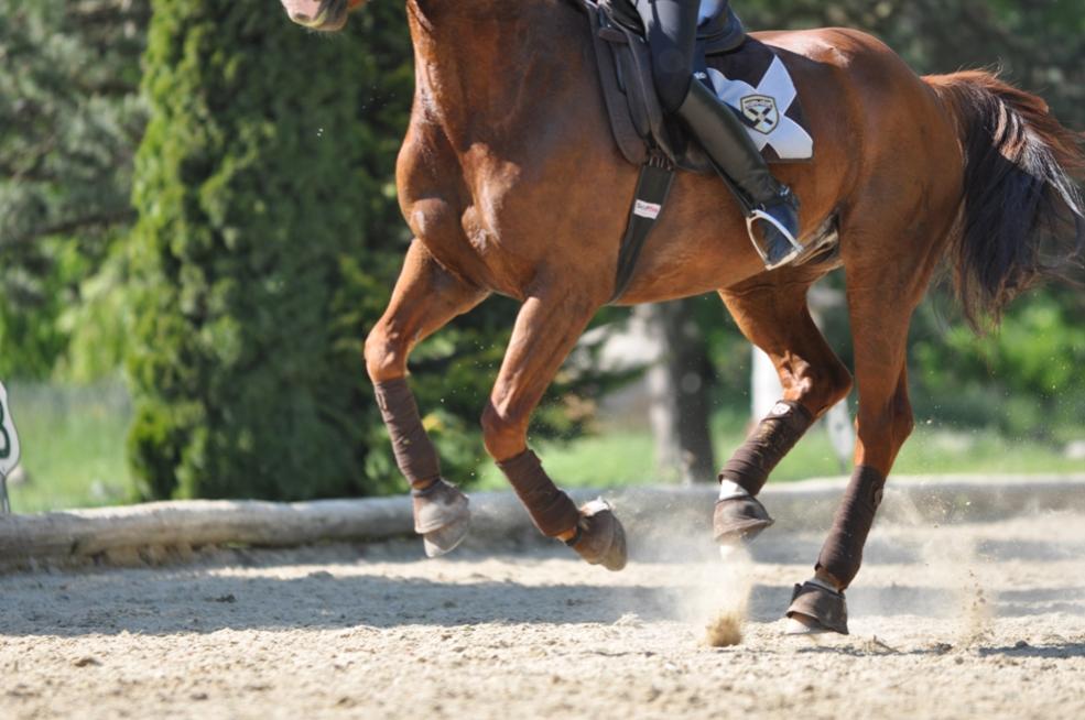 DSC 0407 small
