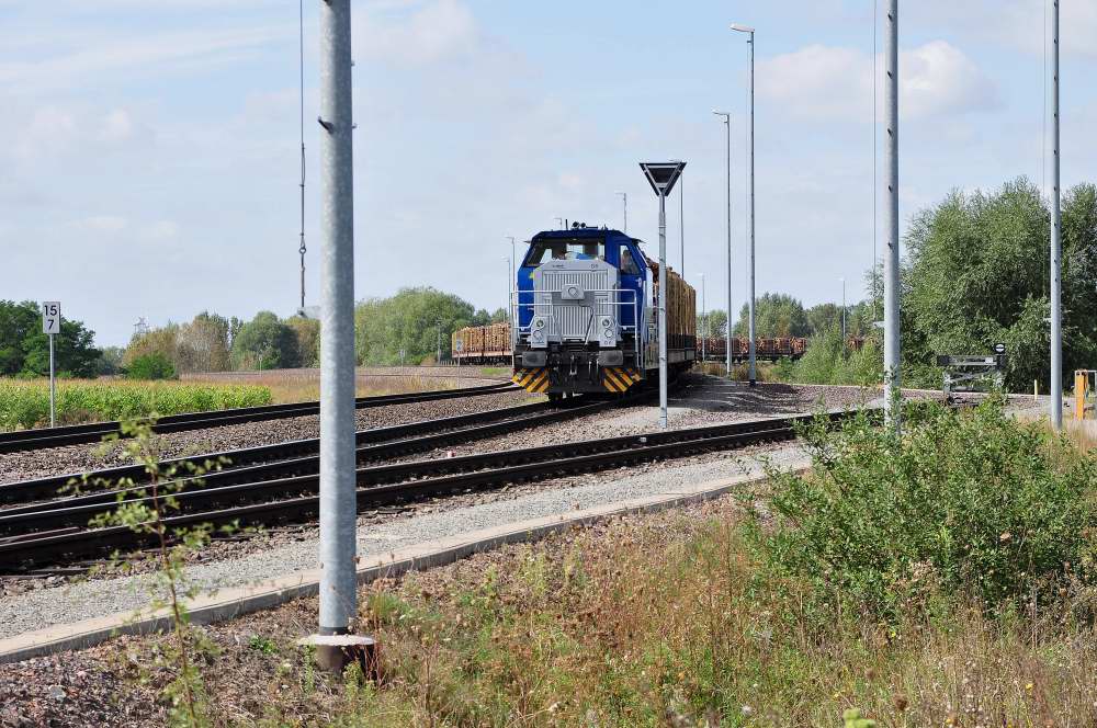 DSC 0425 Nr.6 schiebt neues Holz ins ZS