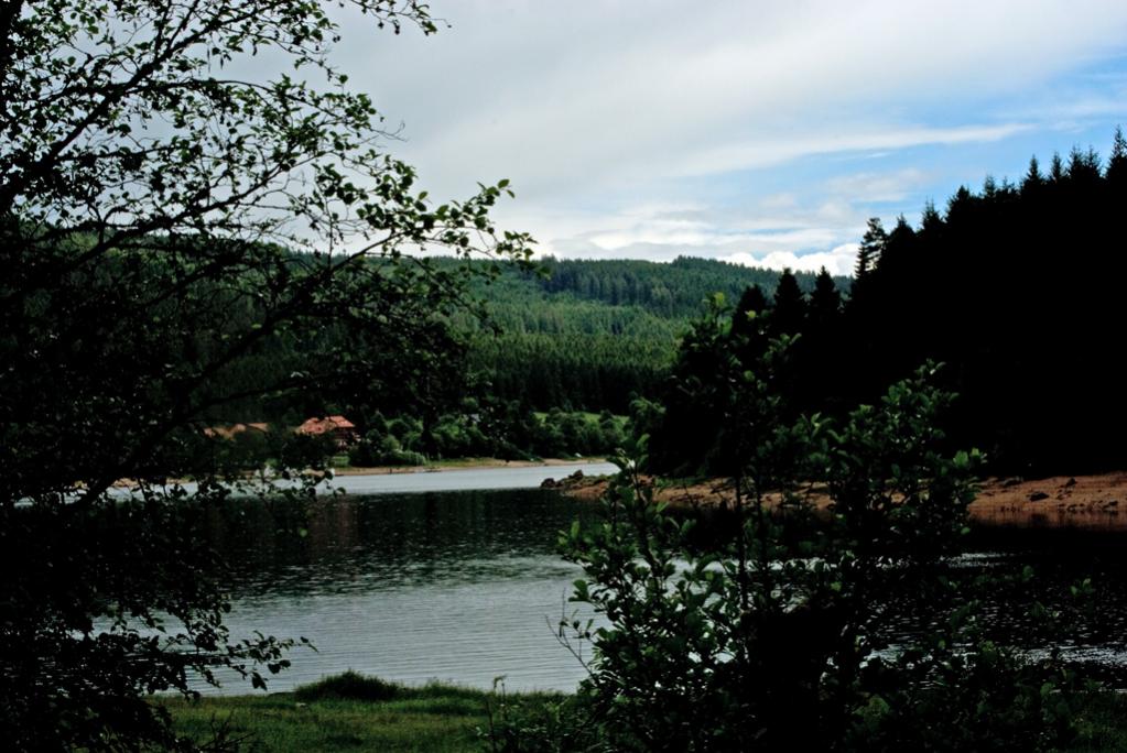 DSC 0428