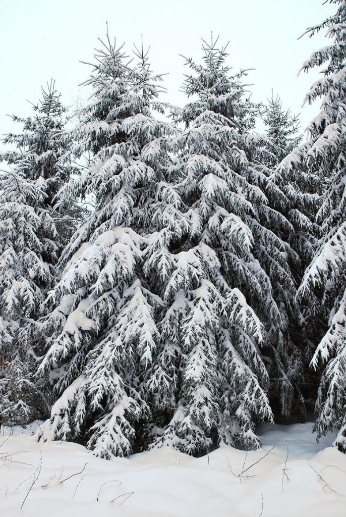 DSC 0432 Winterlandschaft a