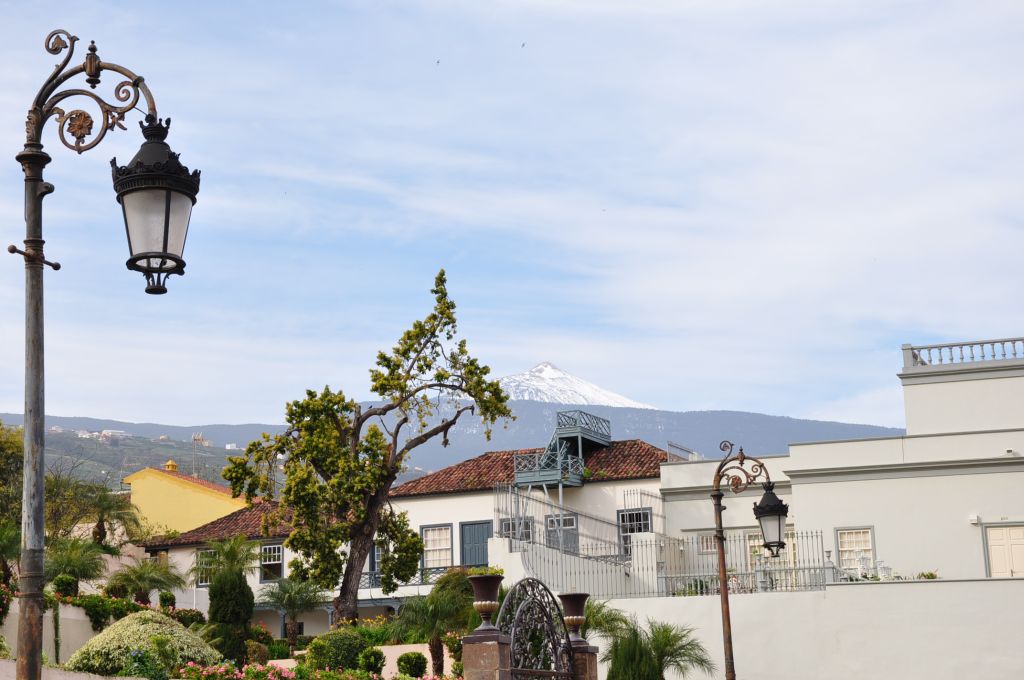 DSC 0465