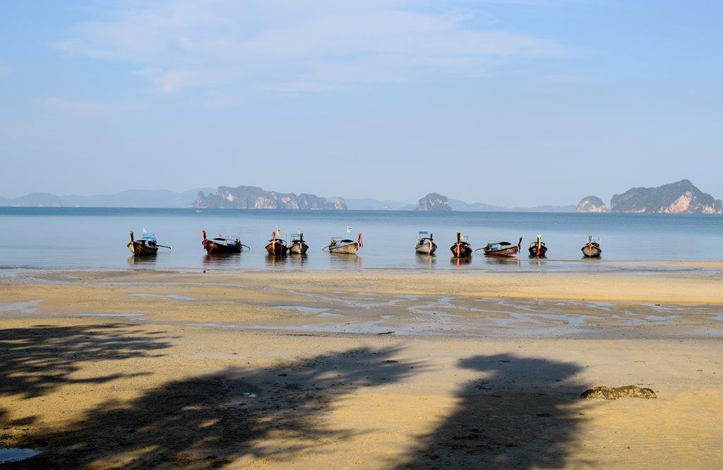 DSC 0467