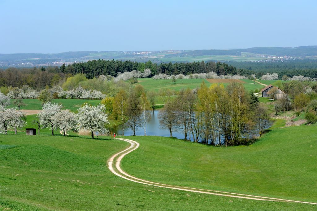 DSC 0476 bearbeitet 1 060