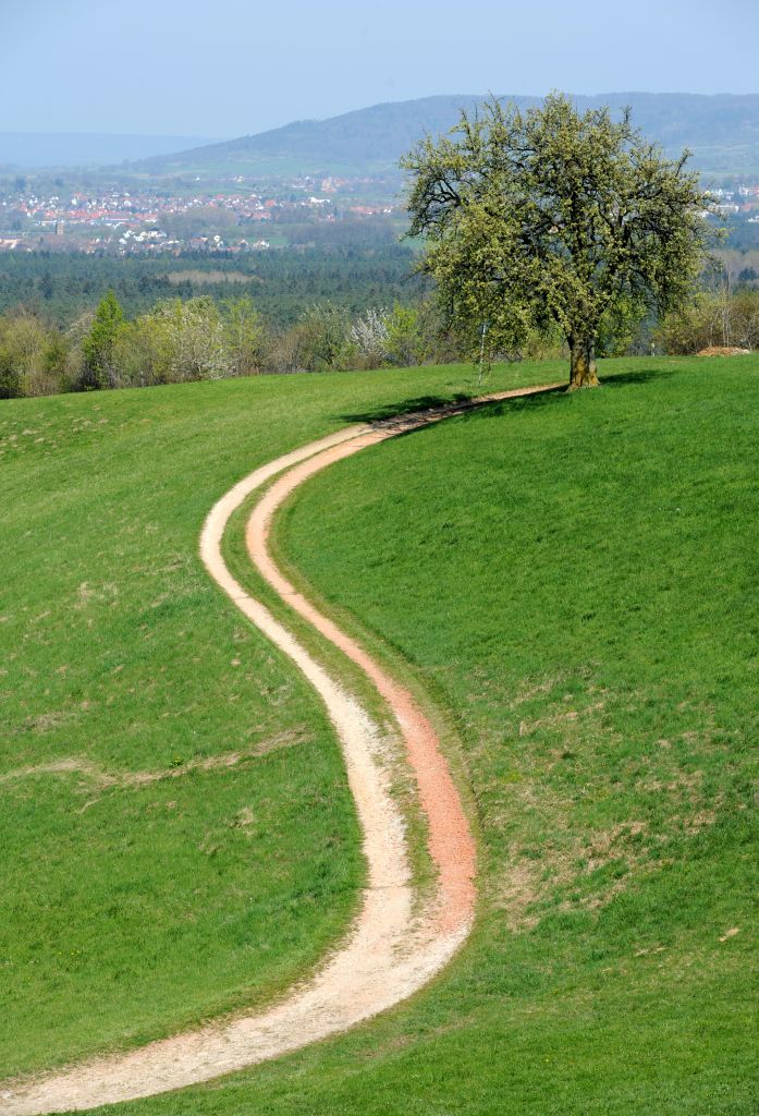DSC 0479 bearbeitet 1 061