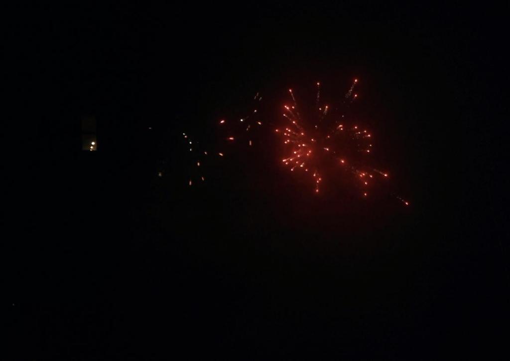 DSC 0491 feuerwerk 3a