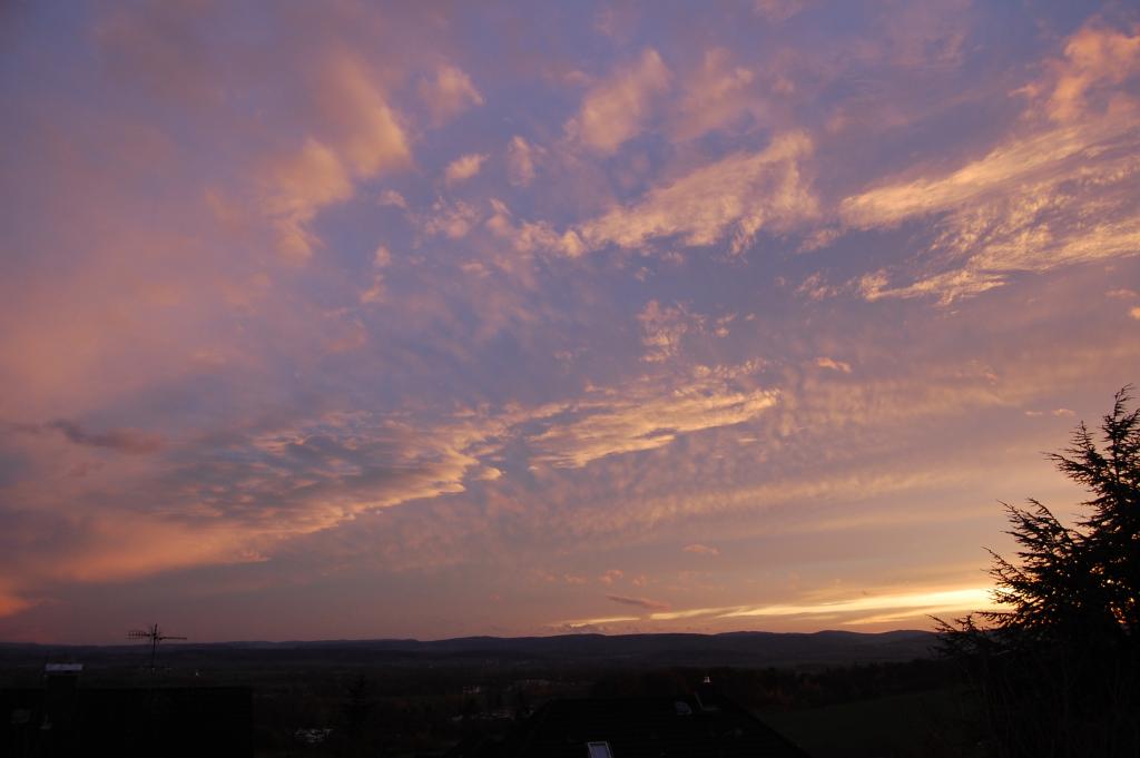 DSC 0509