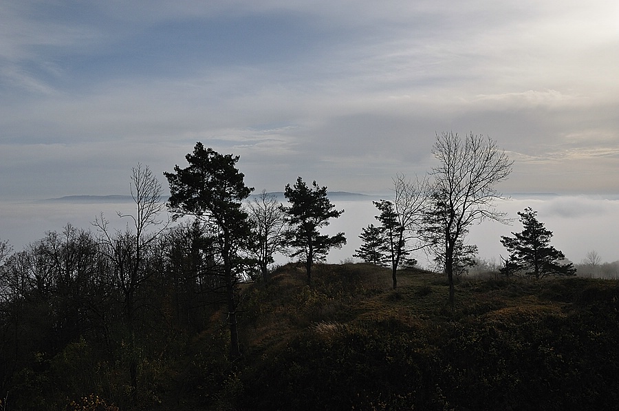 DSC 0512 nff