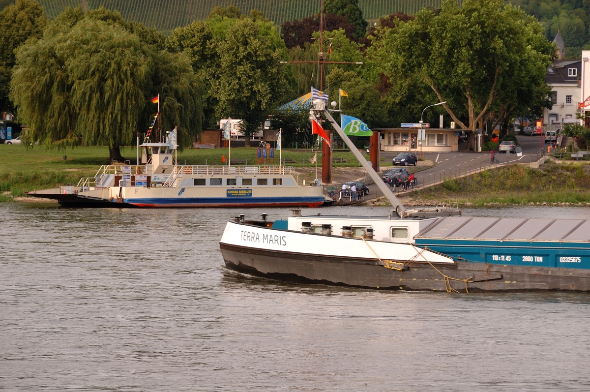 DSC 0521xl