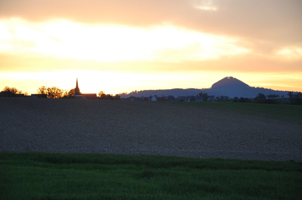DSC 0528